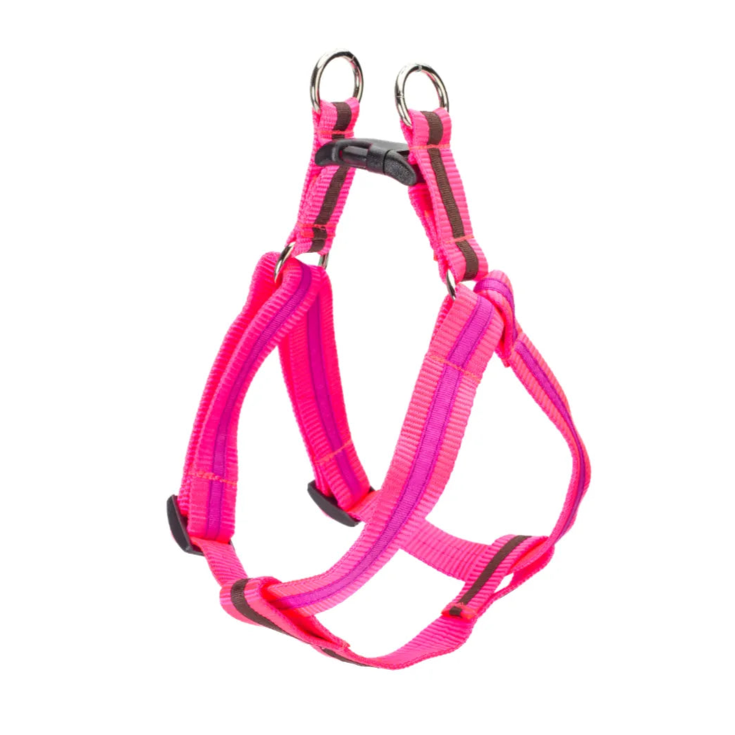 Two-tone harnesses