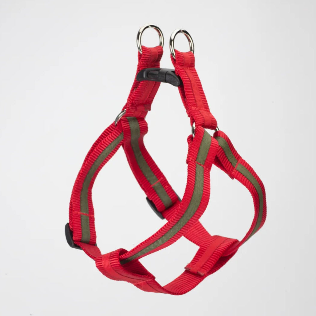 Two-tone harnesses