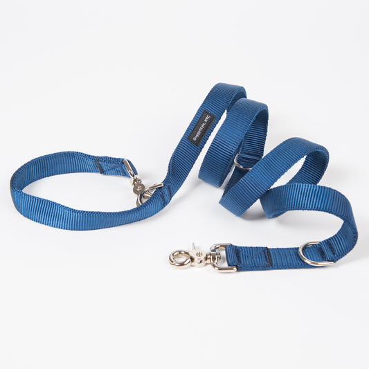 Adjustable leashes