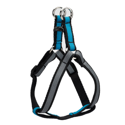 Two-tone harnesses