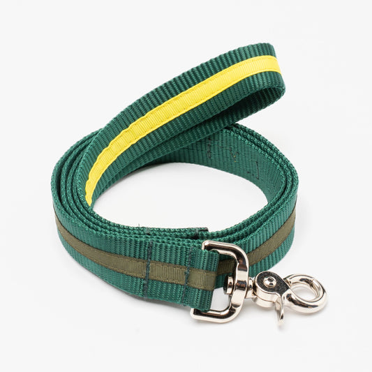 Two-tone leashes